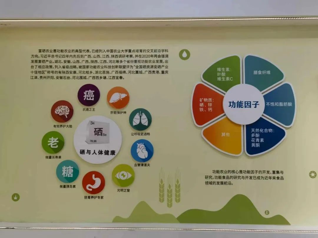 中国·7790必发集团(股份)有限公司-官方网站